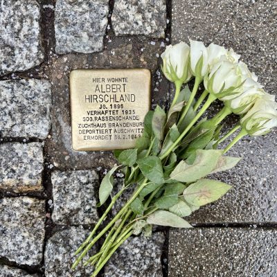 Stolperstein von Albert Hirschland mit weißen Rosen