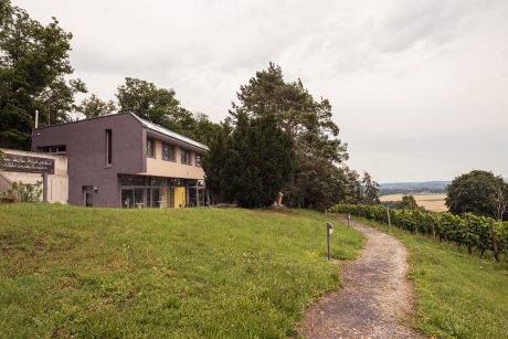 Blick auf den Neubau und den Weinberg