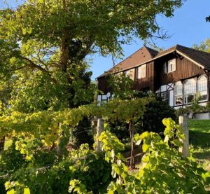 Blick vom Weinberg auf die Villa der HVHS Akademie Sonneck