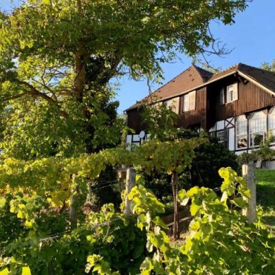 Blick vom Weinberg auf die Villa der HVHS Akademie Sonneck
