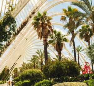 ein Park mit Palmen in Valencia