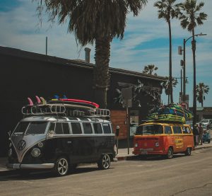 zwei VW Bullis aus den 60er und 70er Jahren stehen vor Palmen