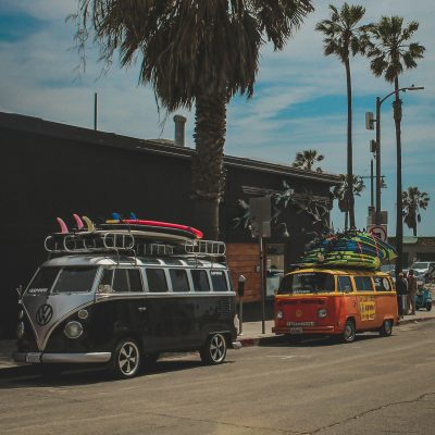 zwei VW Bullis aus den 60er und 70er Jahren stehen vor Palmen