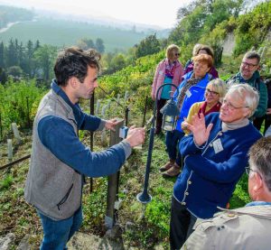 Gruppe von Menschen am Weinberg