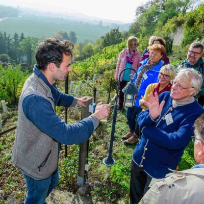 Gruppe von Menschen am Weinberg