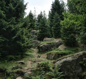 Blick auf einen Harzer Gebirgszug