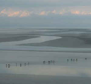 Blick auf das Wattenmeer