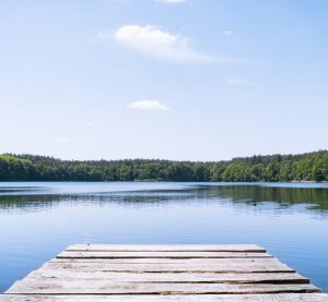 Blick auf die Müritz
