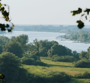 Blick auf die Elbe und deren Ufer