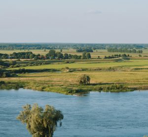 Blick auf die Elbtalauen