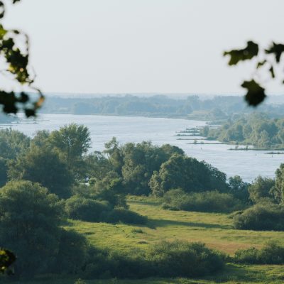 Blick auf die Elbe und deren Ufer