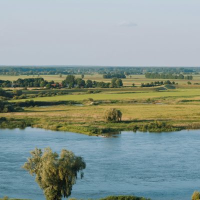 Blick auf die Elbtalauen