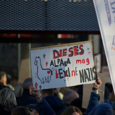 Demonstration gegen Rechts mit einem Transparent "Dieses Alpaka mag keine Nazis"