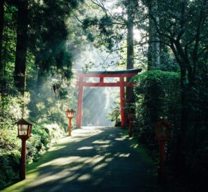 Ein rotes Torii-Tor im Wald.