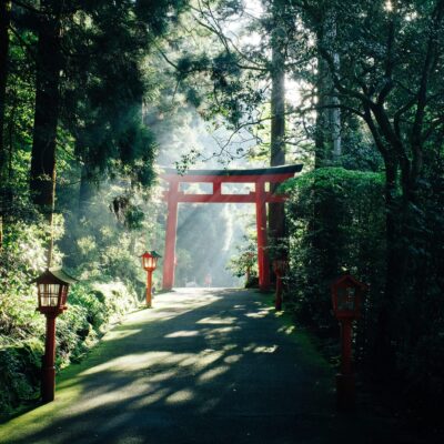 Ein rotes Torii-Tor im Wald.