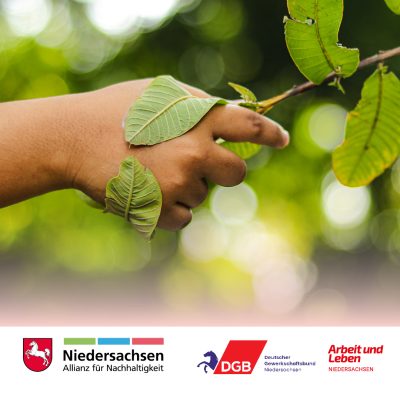Eine Hand die einen Baum "die Hand schüttelt" als Symbolbild für das Symposium der Niedersachsen Allianz für Nachhaltigkeit (NAN)